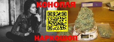 крисы Нальчик